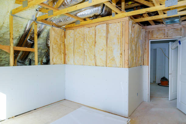 Best Insulation Replacement Services  in Merkel, TX